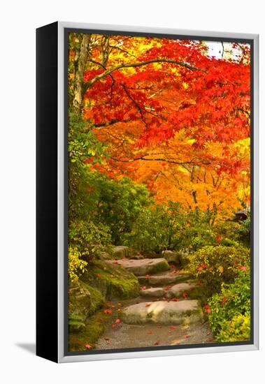 Stone Steps in a Forest in Autumn, Washington State, USA-null-Framed Stretched Canvas