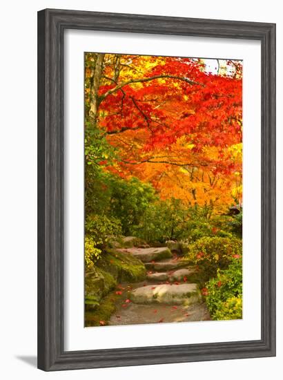 Stone Steps in a Forest in Autumn, Washington State, USA-null-Framed Photographic Print