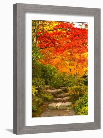 Stone Steps in a Forest in Autumn, Washington State, USA-null-Framed Photographic Print