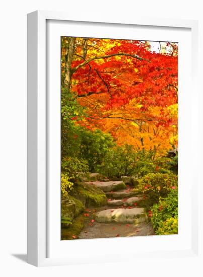 Stone Steps in a Forest in Autumn, Washington State, USA--Framed Photographic Print