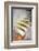 Stone Steps-Ursula Abresch-Framed Photographic Print