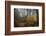 Stone Steps-Danny Head-Framed Photographic Print