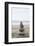 Stone Tower, Balance, Pebble Stones, Beach-Andrea Haase-Framed Photographic Print