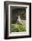 Stone Tower, Pebbles, Moss-Andrea Haase-Framed Photographic Print