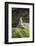 Stone Tower, Pebbles, Moss-Andrea Haase-Framed Photographic Print