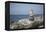 Stone Tower, Sea, Beach, Starfish-Andrea Haase-Framed Premier Image Canvas