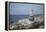 Stone Tower, Sea, Beach, Starfish-Andrea Haase-Framed Premier Image Canvas