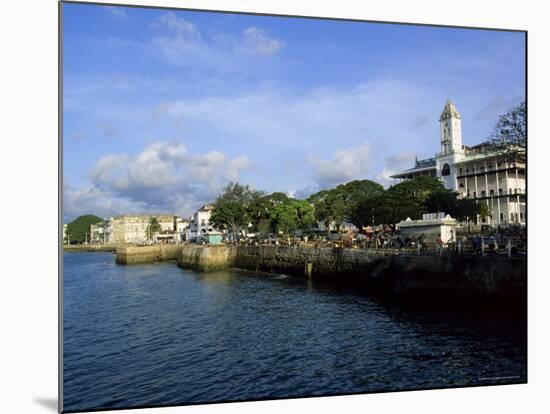 Stone Town, Island of Zanzibar, Tanzania, East Africa, Africa-Yadid Levy-Mounted Photographic Print