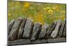 Stone wall and coreopsis flowers, The Parklands of Floyds Fork, Louisville, Kentucky-Adam Jones-Mounted Photographic Print