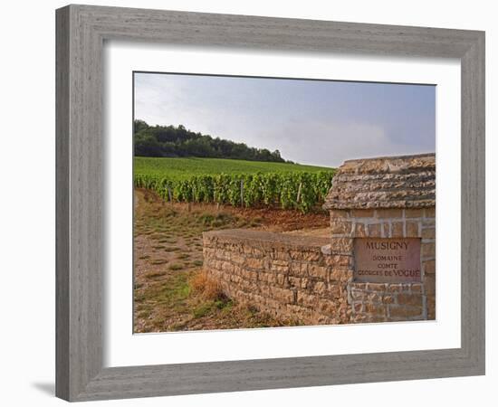 Stone Wall and Sign in the Vineyard Musigny, Domaine Comte Georges De Vogue, France-Per Karlsson-Framed Photographic Print