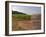 Stone Wall and Sign in the Vineyard Musigny, Domaine Comte Georges De Vogue, France-Per Karlsson-Framed Photographic Print