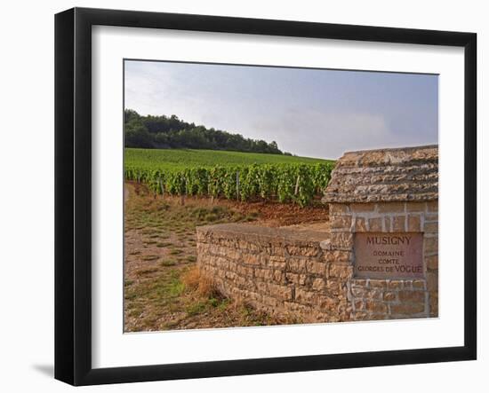 Stone Wall and Sign in the Vineyard Musigny, Domaine Comte Georges De Vogue, France-Per Karlsson-Framed Photographic Print