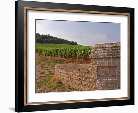 Stone Wall and Sign in the Vineyard Musigny, Domaine Comte Georges De Vogue, France-Per Karlsson-Framed Photographic Print