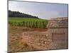 Stone Wall and Sign in the Vineyard Musigny, Domaine Comte Georges De Vogue, France-Per Karlsson-Mounted Photographic Print