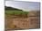 Stone Wall and Sign in the Vineyard Musigny, Domaine Comte Georges De Vogue, France-Per Karlsson-Mounted Photographic Print