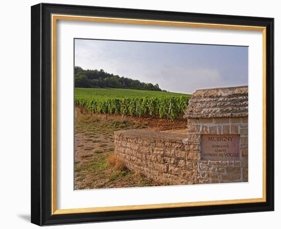 Stone Wall and Sign in the Vineyard Musigny, Domaine Comte Georges De Vogue, France-Per Karlsson-Framed Photographic Print