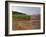 Stone Wall and Sign in the Vineyard Musigny, Domaine Comte Georges De Vogue, France-Per Karlsson-Framed Photographic Print