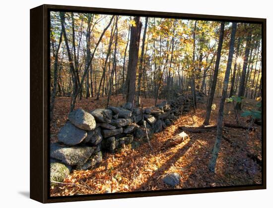 Stone Wall, Nature Conservancy Land Along Crommett Creek, New Hampshire, USA-Jerry & Marcy Monkman-Framed Premier Image Canvas