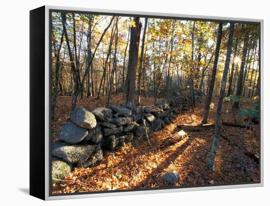 Stone Wall, Nature Conservancy Land Along Crommett Creek, New Hampshire, USA-Jerry & Marcy Monkman-Framed Premier Image Canvas