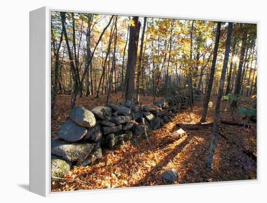 Stone Wall, Nature Conservancy Land Along Crommett Creek, New Hampshire, USA-Jerry & Marcy Monkman-Framed Premier Image Canvas