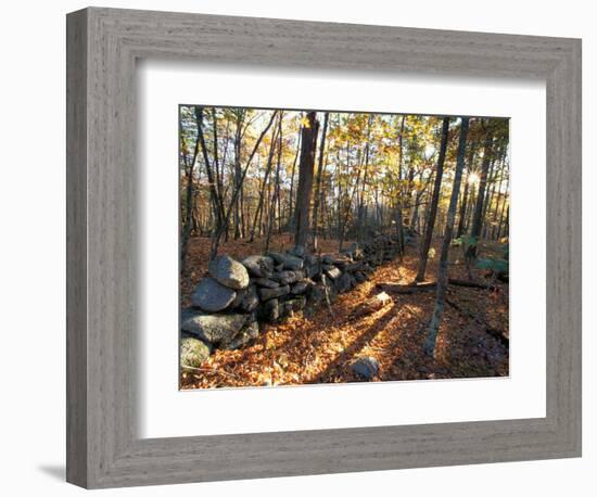 Stone Wall, Nature Conservancy Land Along Crommett Creek, New Hampshire, USA-Jerry & Marcy Monkman-Framed Photographic Print