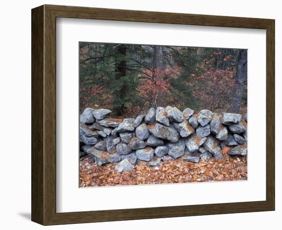 Stone Wall next to Sheepboro Road, New Hampshire, USA-Jerry & Marcy Monkman-Framed Photographic Print