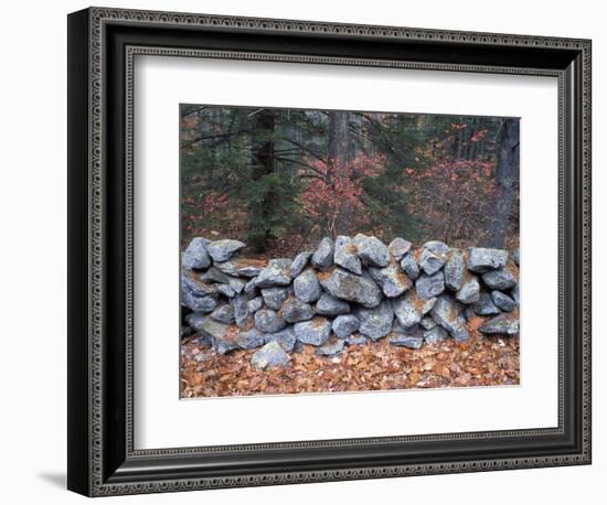 Stone Wall next to Sheepboro Road, New Hampshire, USA-Jerry & Marcy Monkman-Framed Photographic Print