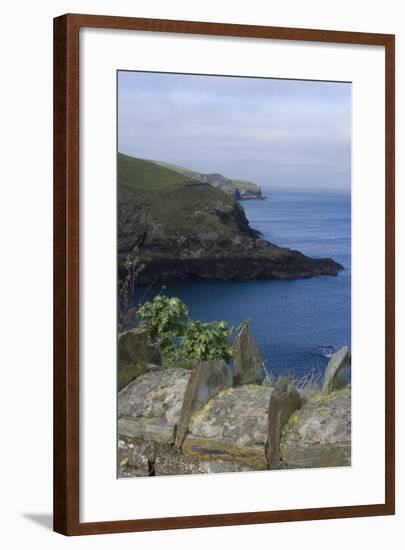 Stone Wall Overlooking the Harbour, Port Isaac, Cornwall, UK-Natalie Tepper-Framed Photo