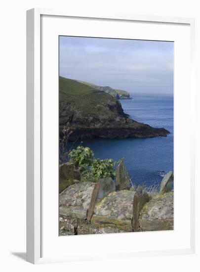 Stone Wall Overlooking the Harbour, Port Isaac, Cornwall, UK-Natalie Tepper-Framed Photo