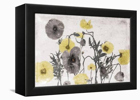 Stone Wash Poppies Light-Jace Grey-Framed Stretched Canvas