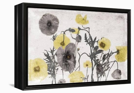 Stone Wash Poppies Light-Jace Grey-Framed Stretched Canvas