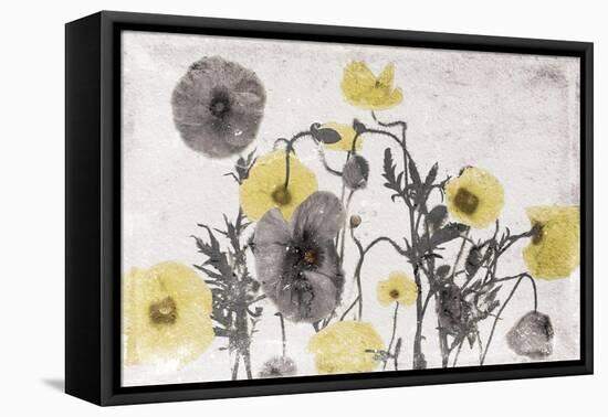 Stone Wash Poppies Light-Jace Grey-Framed Stretched Canvas