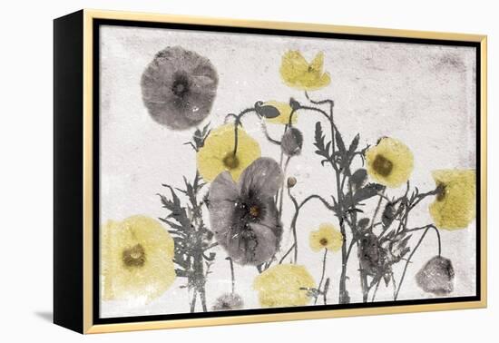 Stone Wash Poppies Light-Jace Grey-Framed Stretched Canvas