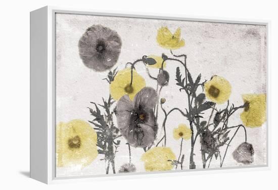 Stone Wash Poppies Light-Jace Grey-Framed Stretched Canvas