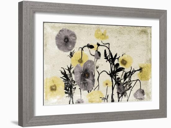 Stone Wash Poppies-Jace Grey-Framed Art Print
