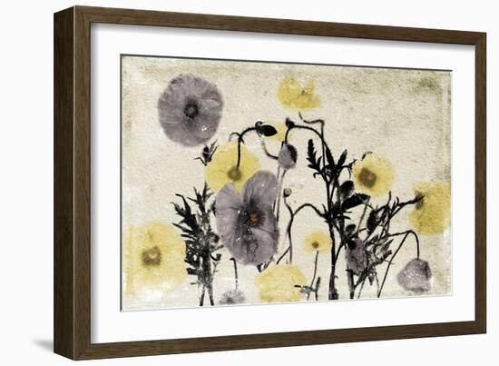 Stone Wash Poppies-Jace Grey-Framed Art Print