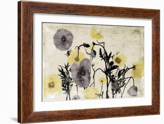 Stone Wash Poppies-Jace Grey-Framed Art Print