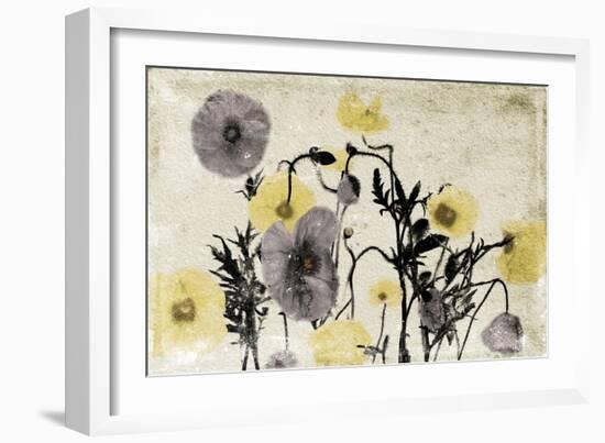 Stone Wash Poppies-Jace Grey-Framed Art Print