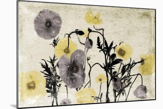 Stone Wash Poppies-Jace Grey-Mounted Art Print