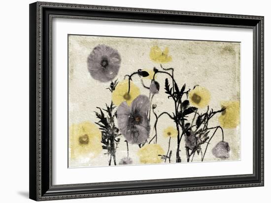 Stone Wash Poppies-Jace Grey-Framed Art Print