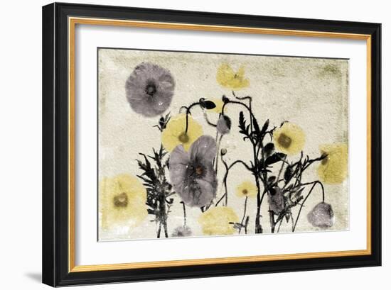 Stone Wash Poppies-Jace Grey-Framed Art Print