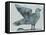 Stoned Pigeon 13-Maria Pietri Lalor-Framed Premier Image Canvas