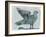 Stoned Pigeon 13-Maria Pietri Lalor-Framed Giclee Print