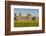 Stonehenge Neolithic monument, Salisbury Plain, Salisbury, Wiltshire, England.-Michael DeFreitas-Framed Photographic Print