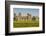 Stonehenge Neolithic monument, Salisbury Plain, Salisbury, Wiltshire, England.-Michael DeFreitas-Framed Photographic Print