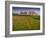 Stonehenge, UNESCO World Heritage Site, Salisbury Plain, Wiltshire, England, United Kingdom, Europe-Charles Bowman-Framed Photographic Print