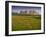 Stonehenge, UNESCO World Heritage Site, Salisbury Plain, Wiltshire, England, United Kingdom, Europe-Charles Bowman-Framed Photographic Print