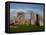 Stonehenge, UNESCO World Heritage Site, Wiltshire, England, United Kingdom, Europe-Charles Bowman-Framed Premier Image Canvas