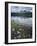 Stones Along Shore of Frog Lake with Mountain Peaks in Back, Sawtooth National Recreation Area, USA-Scott T^ Smith-Framed Photographic Print