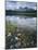 Stones Along Shore of Frog Lake with Mountain Peaks in Back, Sawtooth National Recreation Area, USA-Scott T^ Smith-Mounted Photographic Print